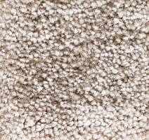 Ковролин AW Masquerade Gaudia 44 фото 1 | FLOORDEALER